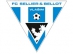FC Sellier & Bellot Vlašim