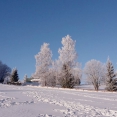 Zimní soustředění v Deštném, 28.1.-1.2.2017