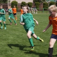 U-11: 8. kolo KP (Borohrádek, sobota 1. 6. 2019)